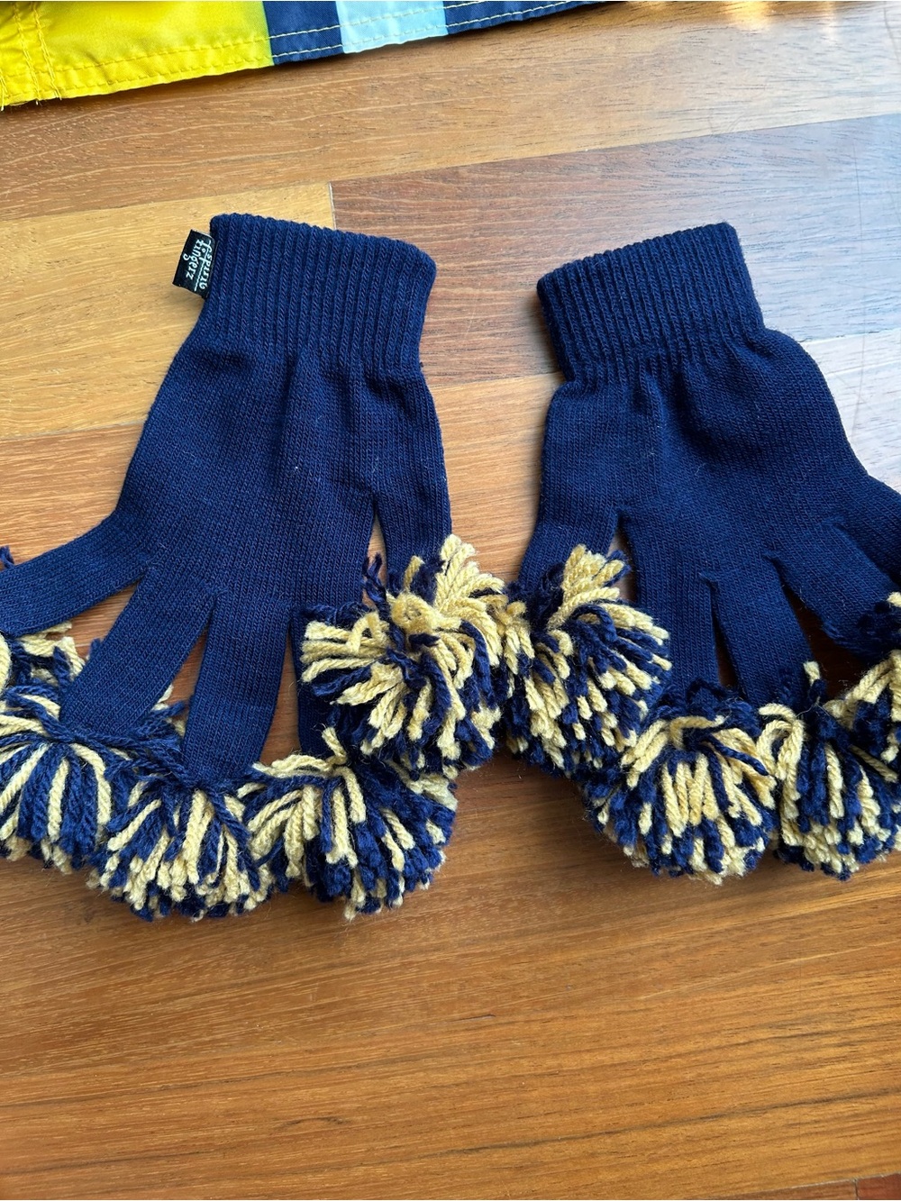 University of Michigan game day essentials - Picture 9 of 15